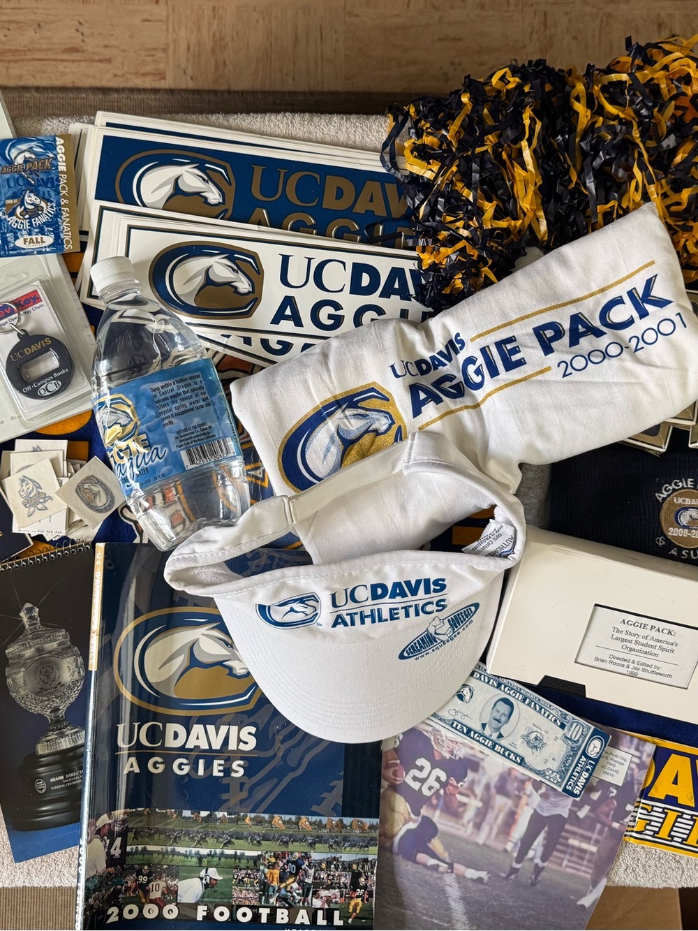 UC Davis Aggies Fan Lot  - 2000